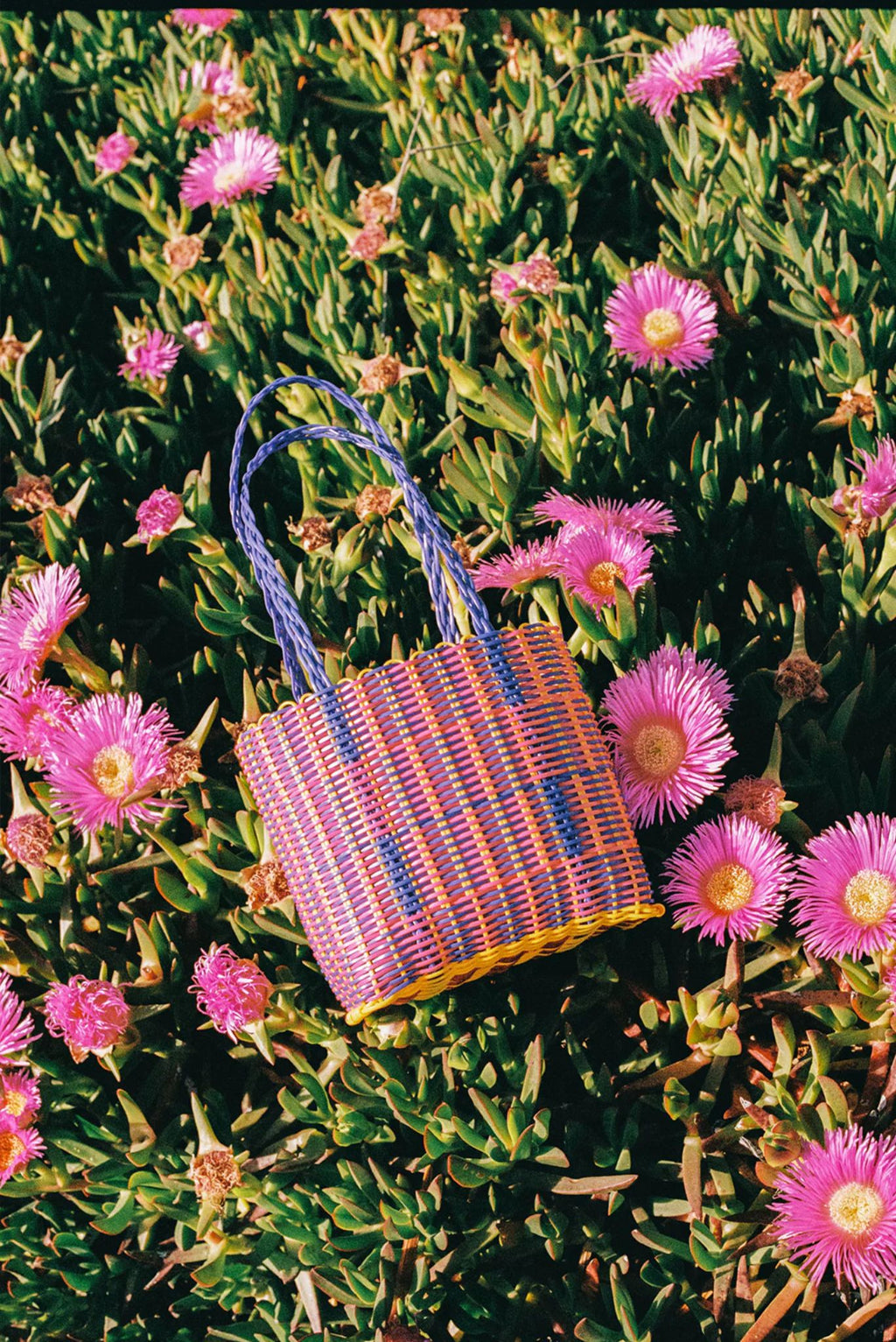 Bolso pequeño playa de Venecia